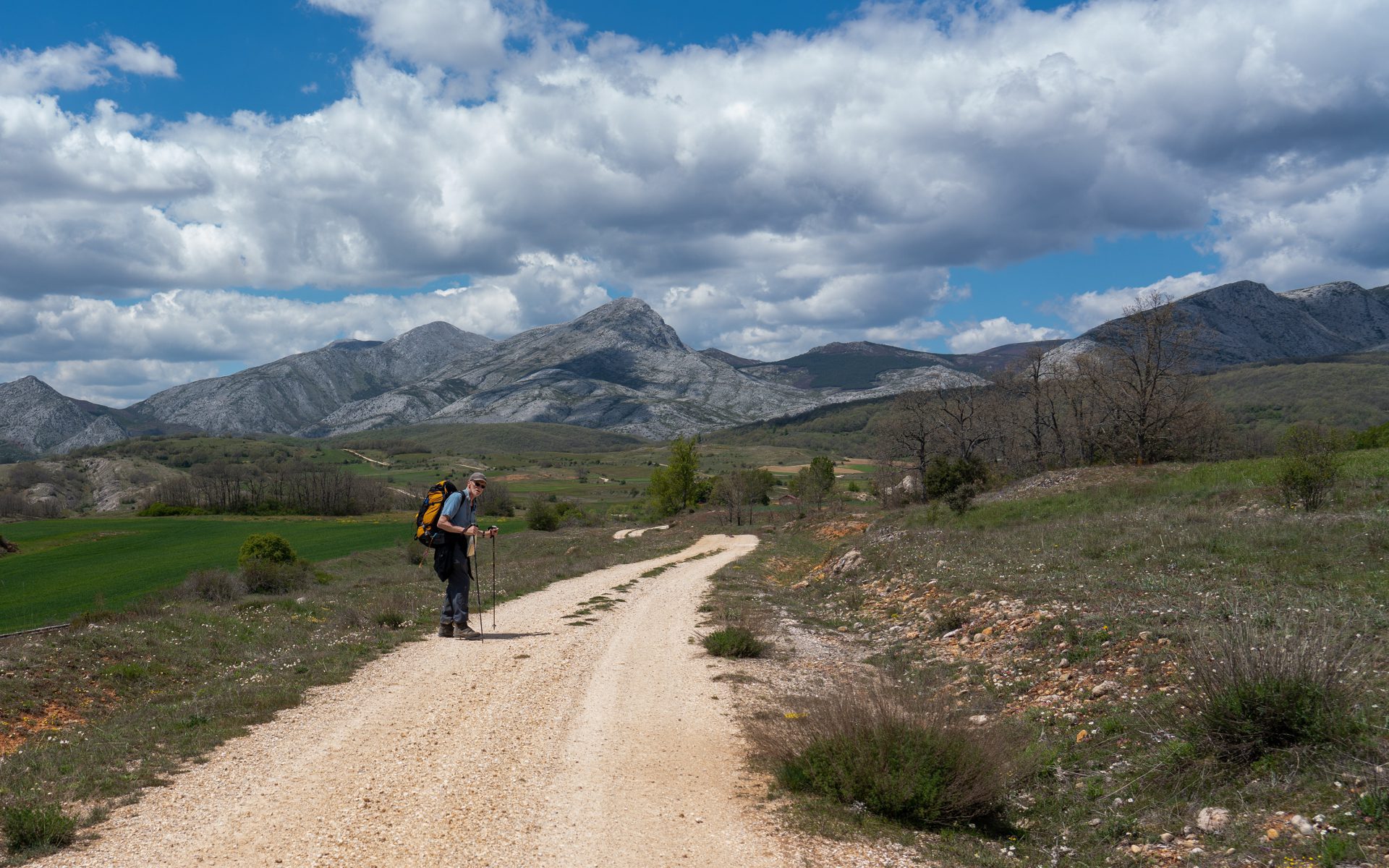 Camino Olvidado